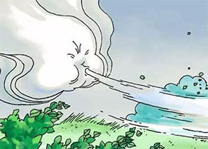 溫馨一刻 | 大風天氣早防范！